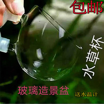 Glass water plant cup Water plant cultivation planting cup Landscaping cup Fish tank decorative aquarium Water plant breeding basin