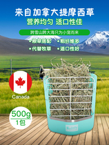 Canadian Timothy rabbit hay chincho guinea pig grass grain 500g 5kg