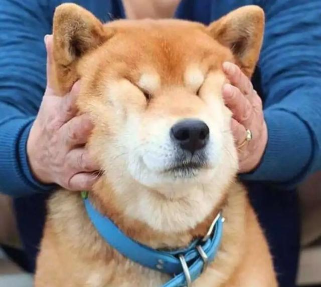 趣值买