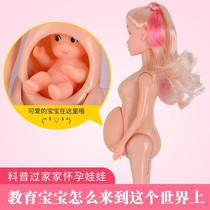 30cm baby Barbie doll pregnant Barbie doll pregnant pregnant baby belly Barbie doll set