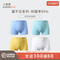 Little sweet potato boys antibacterial boxer briefs chitosan three packs 2022 childrens boxer briefs boys modal