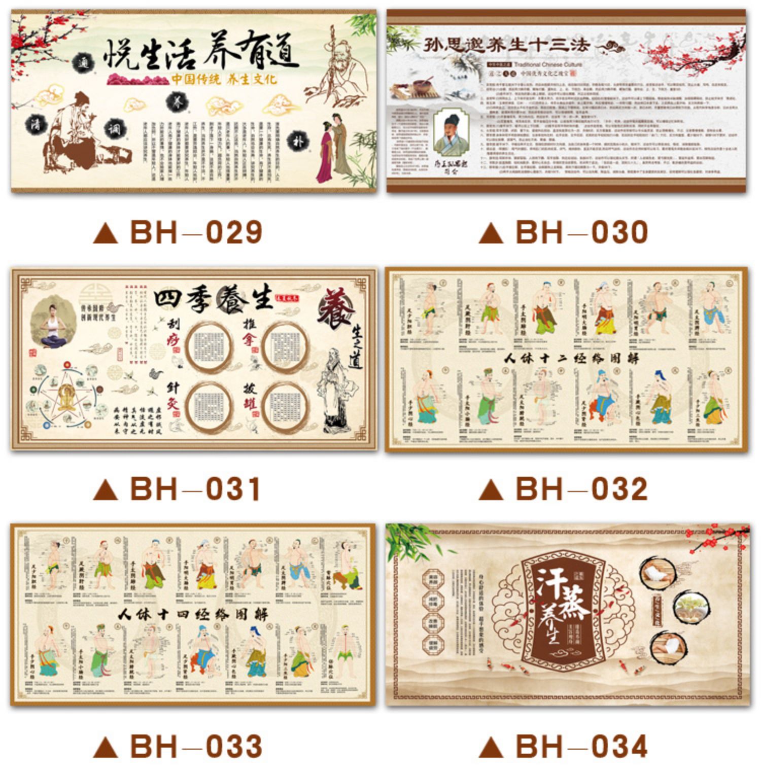人体经络图海报九种体质中医养生馆装饰画挂图美容院宣传墙贴挂画