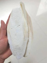 Medium cuttlefish bone cuttlefish Cuttlefish shell parrot calcium molar 5 yuan 1 tablet