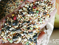 Bird grain rat food a variety of grains a reasonable match 1 piece = 5kg