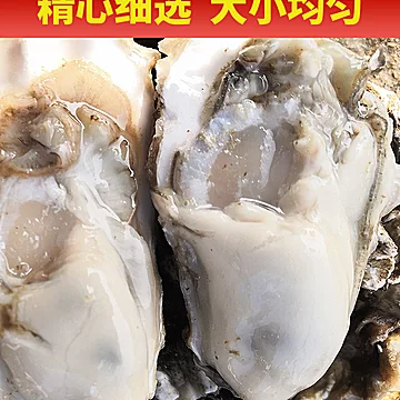 乳山生蚝鲜活海鲜水产特大牡蛎海蛎子[20元优惠券]-寻折猪