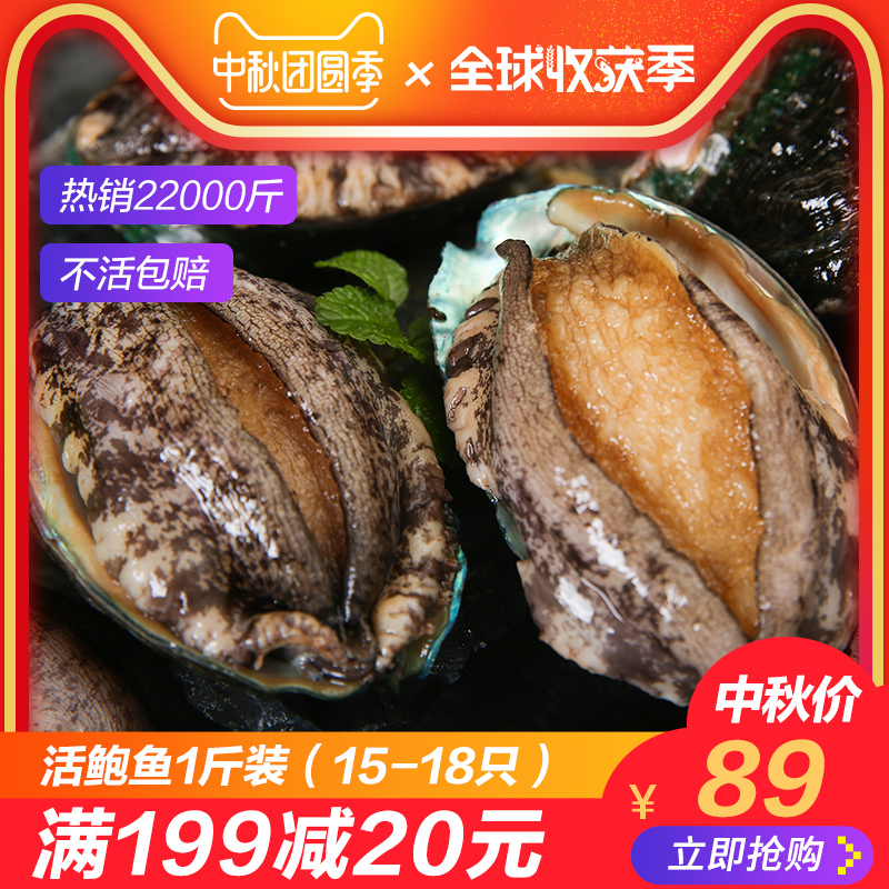 买2减10】活鲍鱼15-18只/斤新鲜活特大鲍鱼500g煲汤贝类海鲜水产