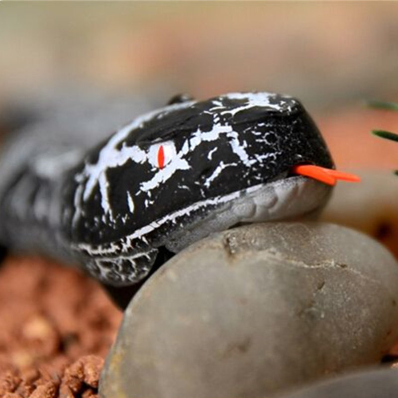 新品重口味遥控蛇玩具, 俘获淘气boy