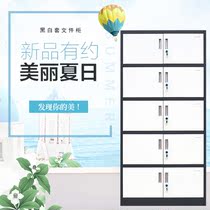The high-end new color is divided into five sections of file cabinet disassembly and installation steel office cabinet file cabinet information cabinet financial voucher cabinet