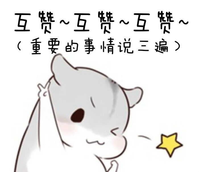 狗狗老叼毯子外出,主人跟踪后发现真相!