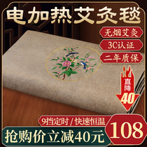 Eivet Electric Heating Moxibustion Mat Mattresses Agrass Physiotherapy Dispel Wet Heating Cushion Hot Compress bedding Sub-body Home Moxibustion Blanket