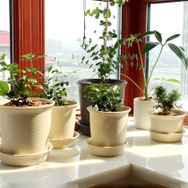 Alice flowerpot plastic large small succulent plant thickened imitation ceramic resin green Alice creative balcony