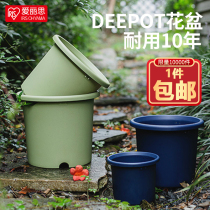 Alice Gallon Flower Pot Plastic Multi-meat Minima With Trays Resin Green Loo Currant Flower Pots Thickened durable