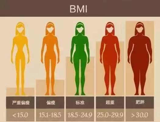 第二个是体脂率——脂肪在总体重中的比例.