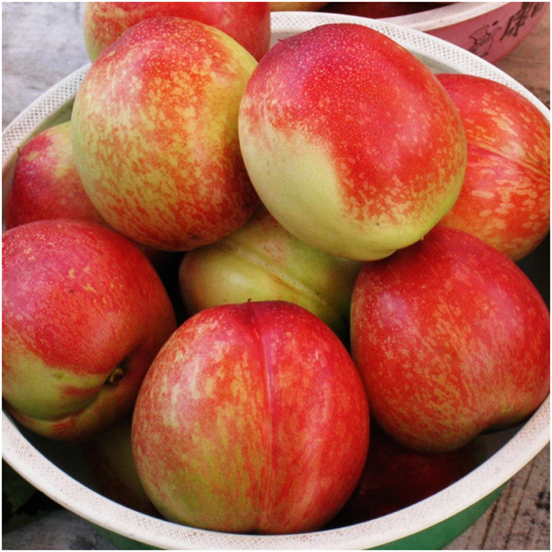新鲜油桃甜油桃新鲜水果脆桃子4斤