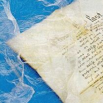 Goldbeaters Skin parchment paper protects the restoration of the intestine clothes Birheal whistle reed seal