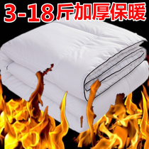 Guest House Hotel Special Quilt Winter Quilt Super Thick 12 Catty 16 Winter Single Cotton Quilt Core Thickened Warm 2 2 2 2 4