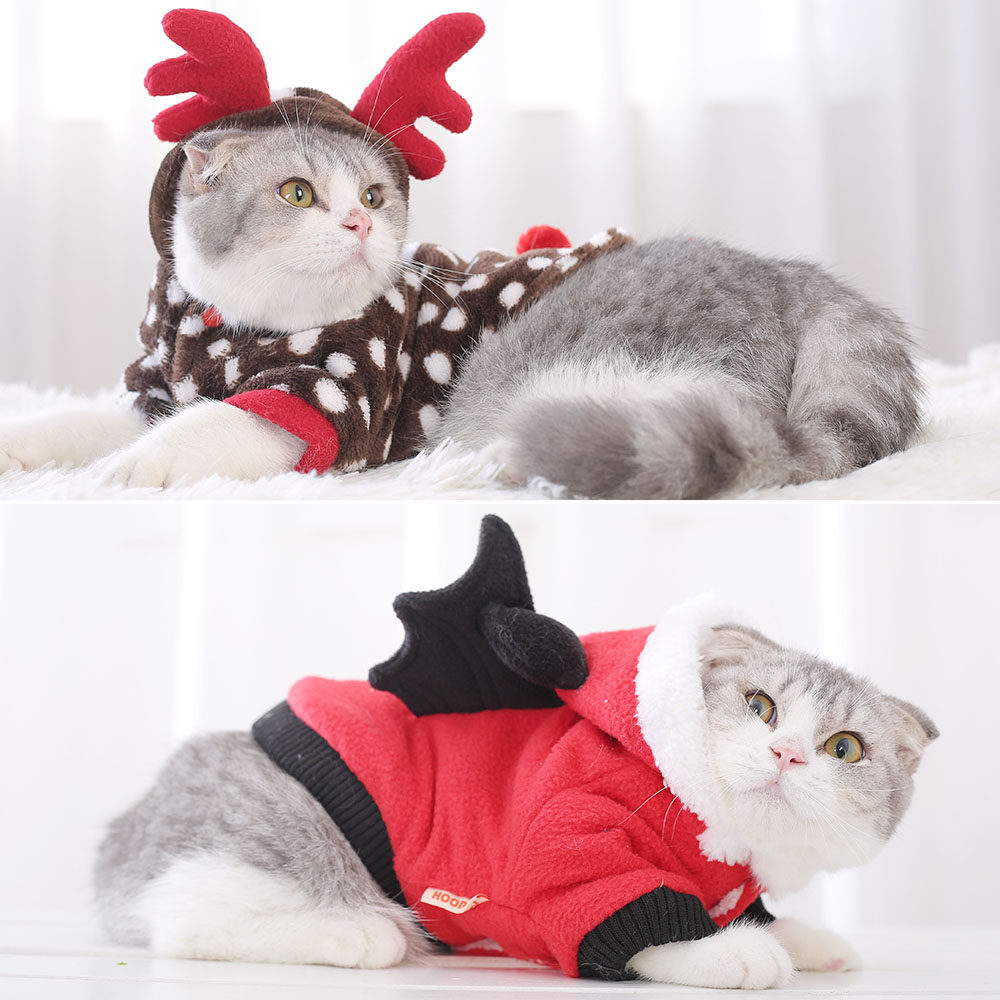 猫咪秋冬宠物可爱幼猫小猫的新年衣服英短美短猫猫小奶猫蓝猫保暖