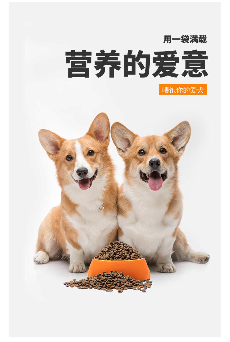 卫仕狗粮成犬小型犬1.5kg专用粮泰迪比熊柯基全阶段无谷通用型3斤