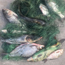 High quality boat brand wire fishing net Fishing net sticky net Three-layer fishing wire mesh 1 meter 1 5 meters 2 meters high 50 meters long sinking net