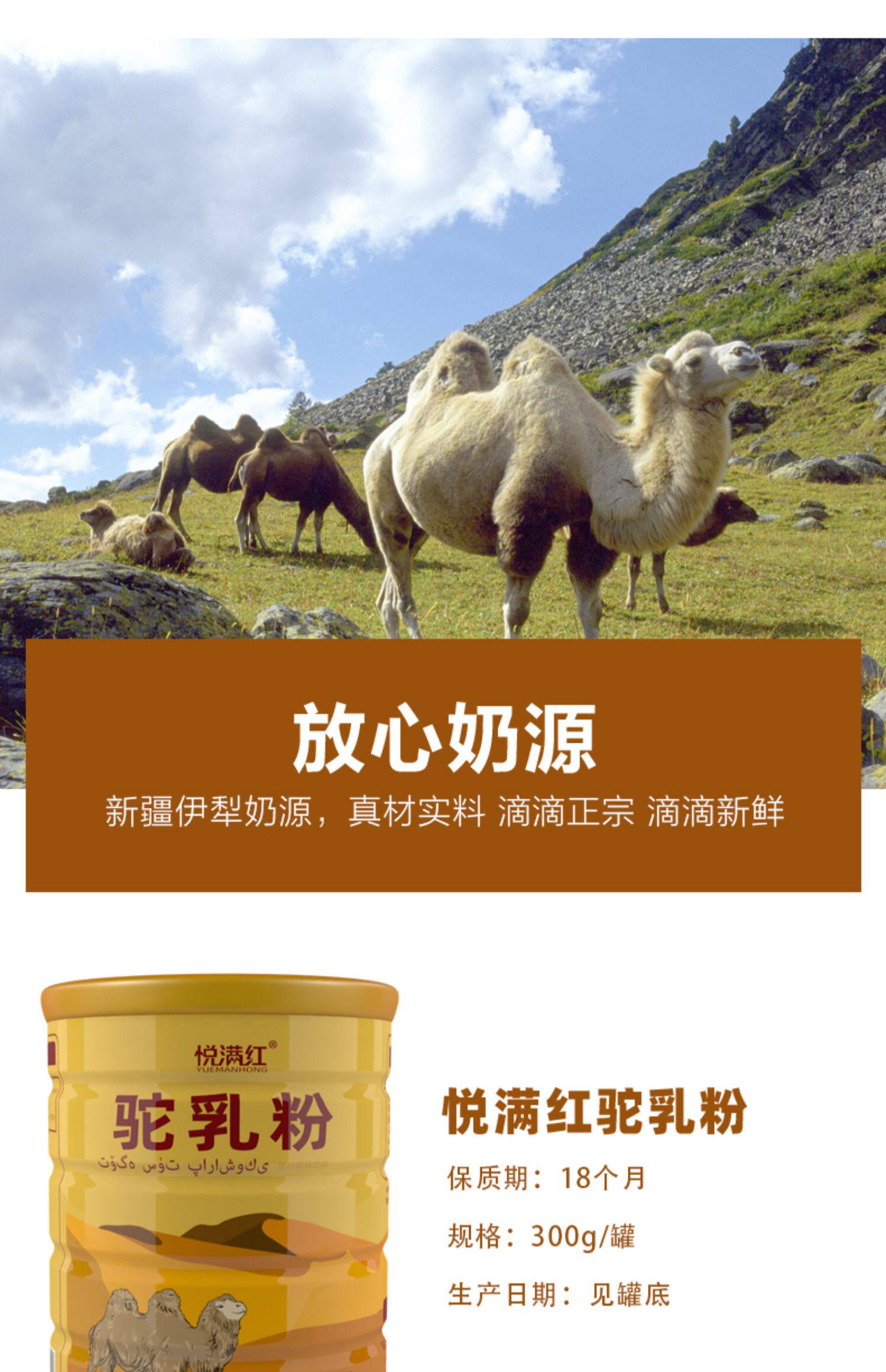 悦满红正品骆驼奶粉新疆伊犁驼纯奶鲜奶官方官网王牌大漠驼乳驼粉