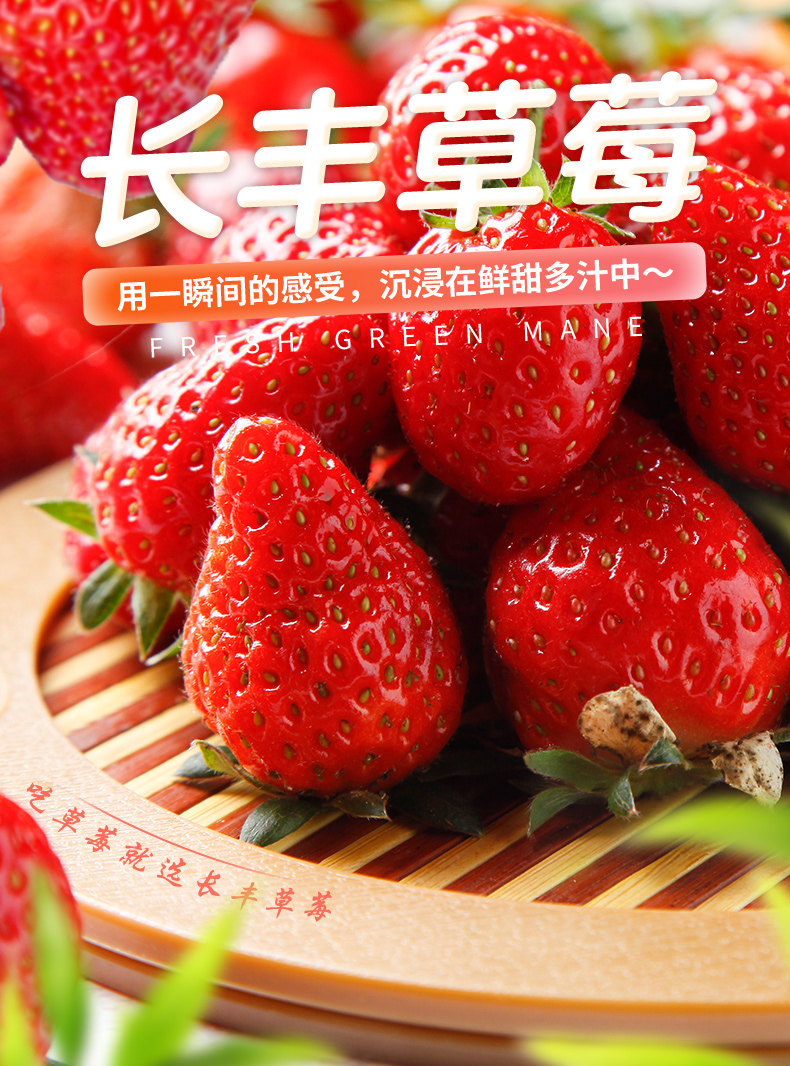 长丰草莓 红颜草莓礼盒 1500g 现摘现发