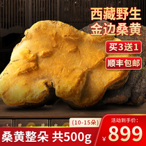 (Buy 3 Get 1 Free) Wild Tibetan Phellinus Phellinus Straight Hair Phellinus Whole Flowers 500g One pound Authentic Non-Lingzhi
