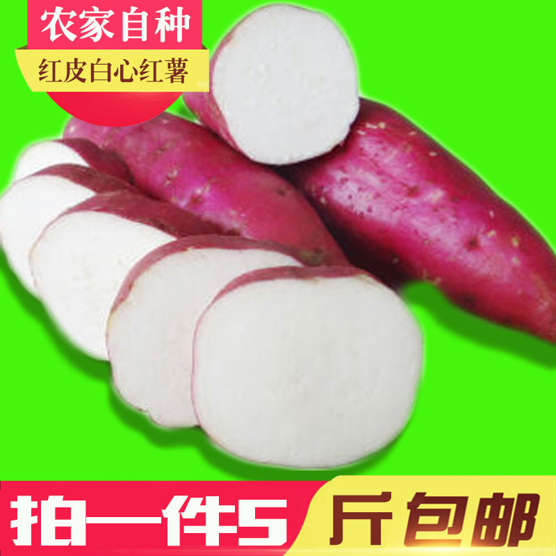 新鲜白心红薯地瓜包邮5斤红皮白心番薯山东特产农家自种山芋白薯_5折