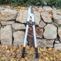 Imported gardening tools rough shears Fruit tree pruning shears strong shears high shear scissors Liu Sheng scissors