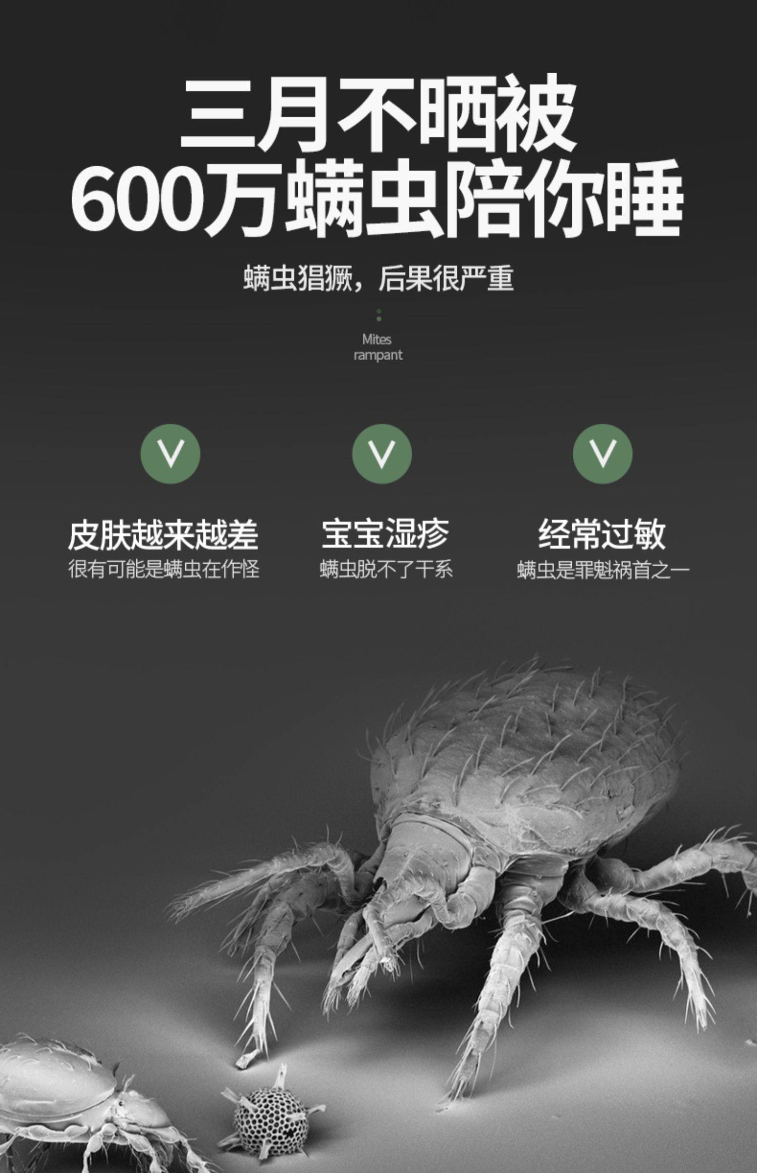 赫宇除螨包床上用祛除螨虫贴天然中草药去螨虫神器家用防螨虫克星