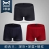 Cat nam cotton đồ lót nam mùa hè mỏng thoáng khí cotton boxer quần quần kích thước lớn gợi cảm nam boxer - Giữa eo