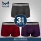 Cat nam cotton đồ lót nam mùa hè mỏng thoáng khí cotton boxer quần quần kích thước lớn gợi cảm nam boxer - Giữa eo