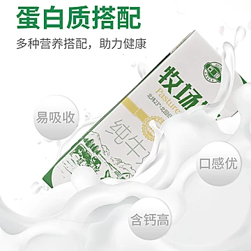 石埠纯牛奶200ml*12盒[8元优惠券]-寻折猪