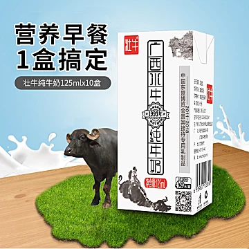 广西壮牛水牛奶纯牛奶125ml*10[13元优惠券]-寻折猪