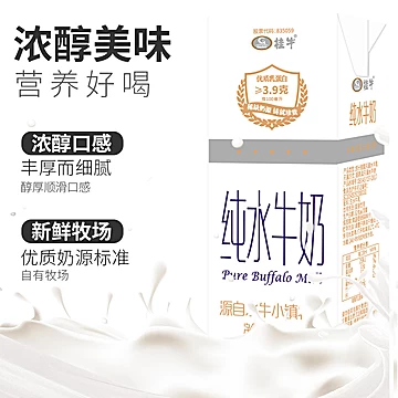 广西桂牛水牛奶200ml*10盒装整箱纯牛奶[13元优惠券]-寻折猪