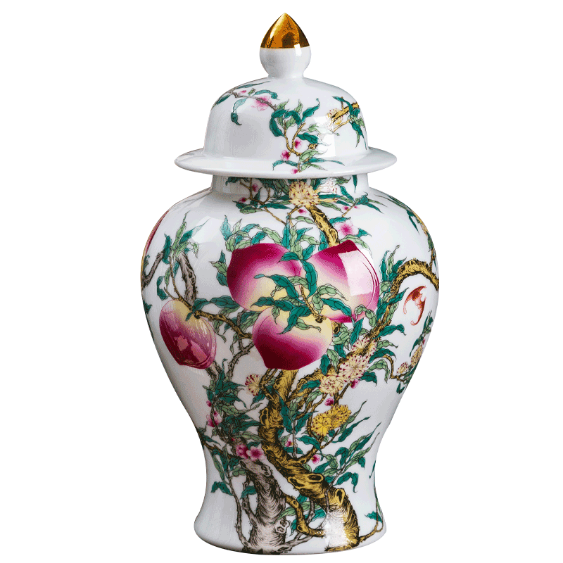 Jingdezhen ceramic vase furnishing articles of Chinese style white hand draw the general pot of home sitting room rich ancient frame porch decoration