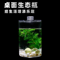 Small Eco Bottle Micro landscape landscape landscape bucket fish tank office desktop living room glass fish tank small fish bottle free of care