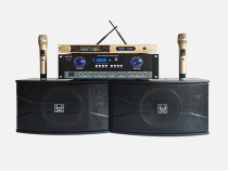 10 Inch Home Karaoke Professional Ktv Sound Suit Dance Room Wall-mounted Conference Room Home Ktv Power Amplifier Speaker