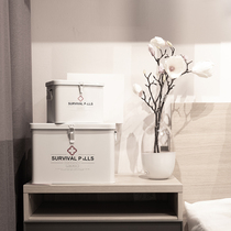 Medicine box household medicine box medicine item storage box portable childrens family large and small number emergency medical box