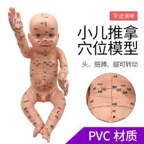 Childrens massage acupoint model Baby model Childrens human body acupoint map Full body reflex area Meridian Yuesao training