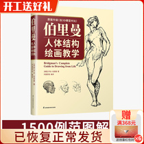 Original Upgrade Berriman Introduction to Human Structure Painting Teaching Basic Human Form Painting Copying Tutorial