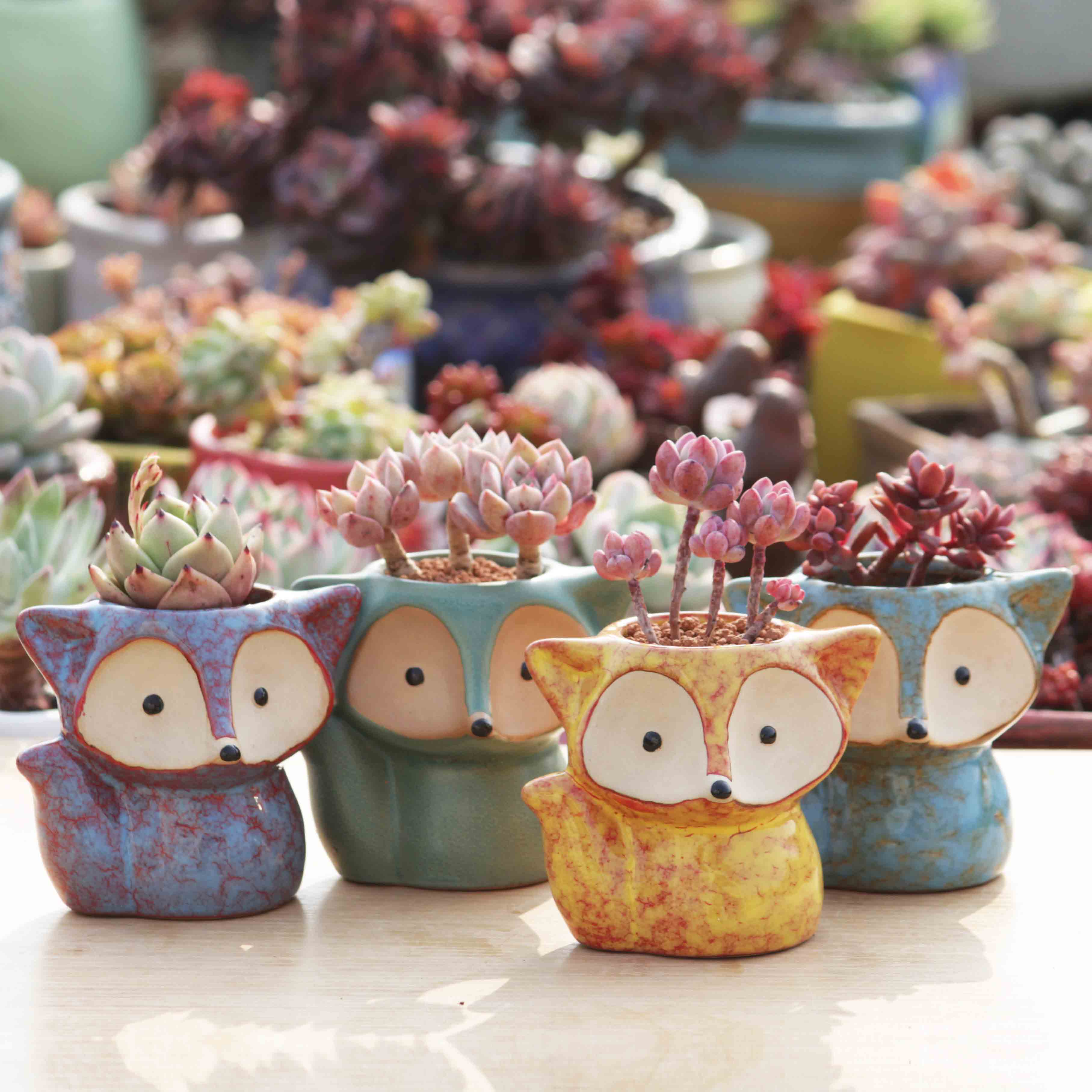 Creative move small lovely fox household northern wind fleshy flowerpot ceramic combination suit special offer a clearance