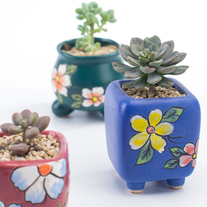 Hand - made combination household creative move small lovely delay jubilee set coarse pottery breathable fleshy flowerpot ceramics