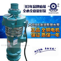 Zhejiang 2 2-5 5KW Big yuan QY oil-immersed clear submersible pump pumping agricultural and marine fountains with high lift and large flow