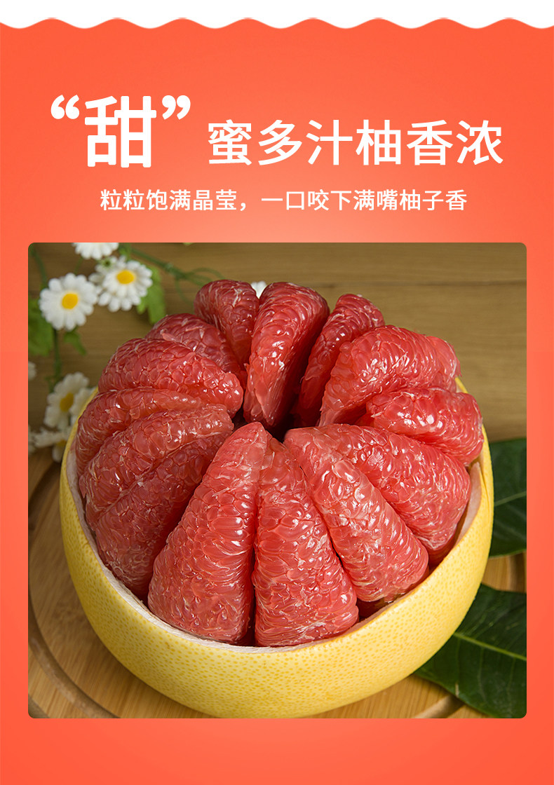 正宗福建平和红柚红心柚10斤柚子三红管溪蜜柚红肉红柚新鲜水果