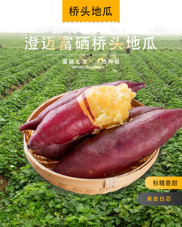 正宗海南澄迈富硒桥头地瓜板栗红薯新鲜沙地10斤山芋白心农家包邮