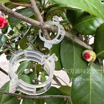 New plastic binding clamp branch cucumber vegetables binding plant fixed clip farm crane clamp crop crop crop crop