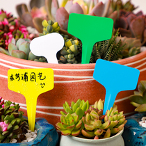 Multi - meat slot small flower famous flower pot plant label PVC plastic waterproof label gardening label