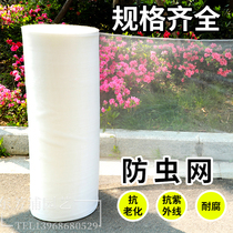 Encrypted thickening of Yang Mei Tree Farming Network for Pig Farm Anti-Mosquito Fly Windows of Infiltration Web