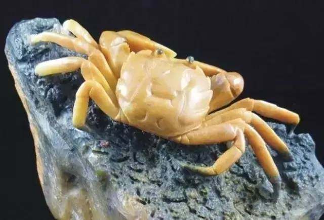 国庆让你横行无忌,请你吃全蟹宴!