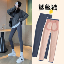 Current term Recommendation ~ High Standard Cut Plus Suede Shark Pants Woman outside wearing autumn and winter closets Hip Warm Beating Underpants
